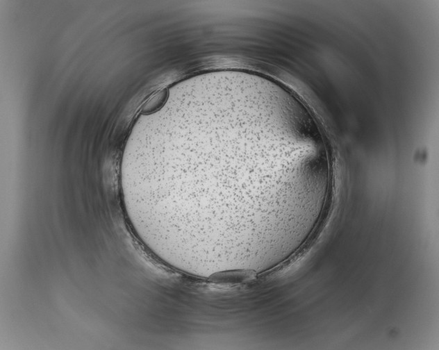 X0000113140857200909251302