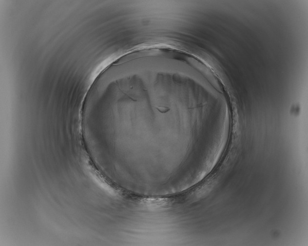 X0000113140858200909251302