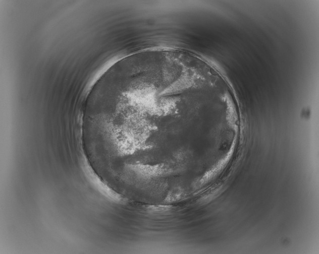 X0000113140859200909251302