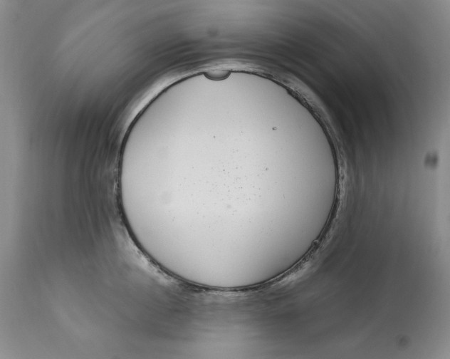 X0000113140860200909251302