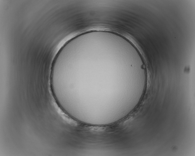 X0000113140861200909251303