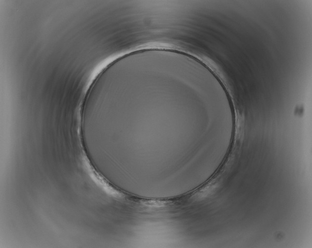 X0000113140862200909251303