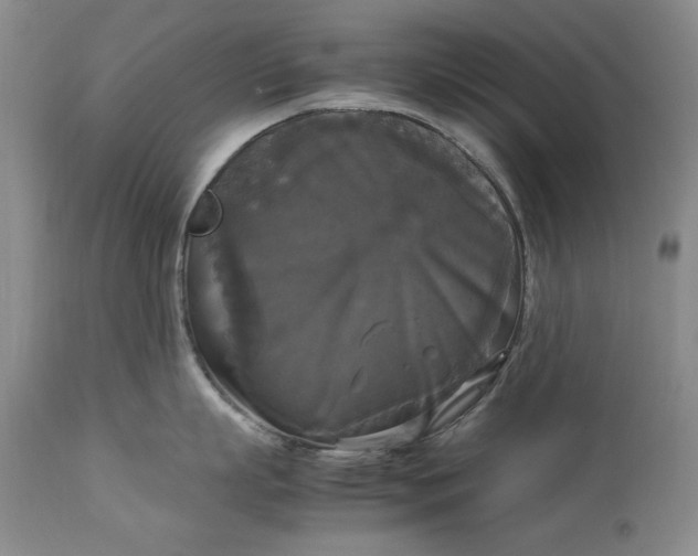 X0000113140863200909251303