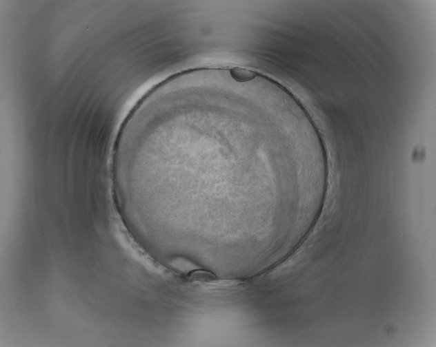 X0000113140864200909251303