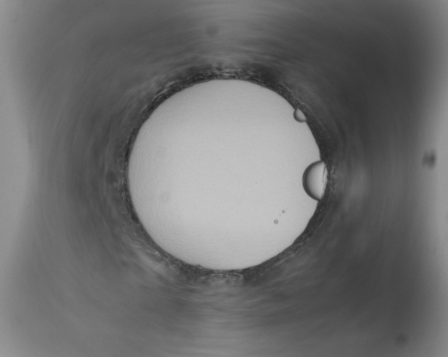 X0000113140865200909251302