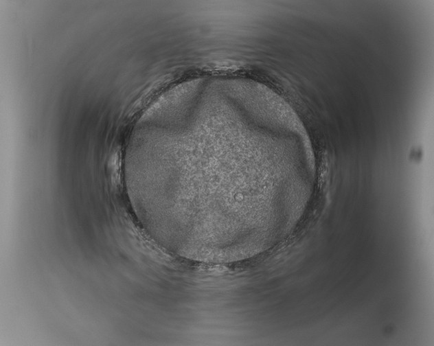 X0000113140866200909251302