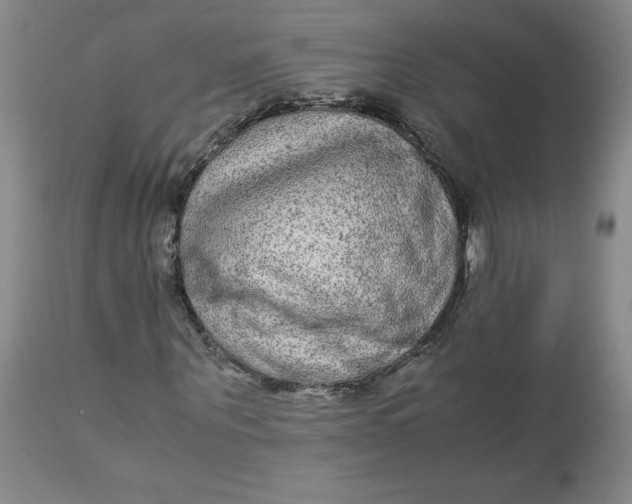 X0000113140867200909251302