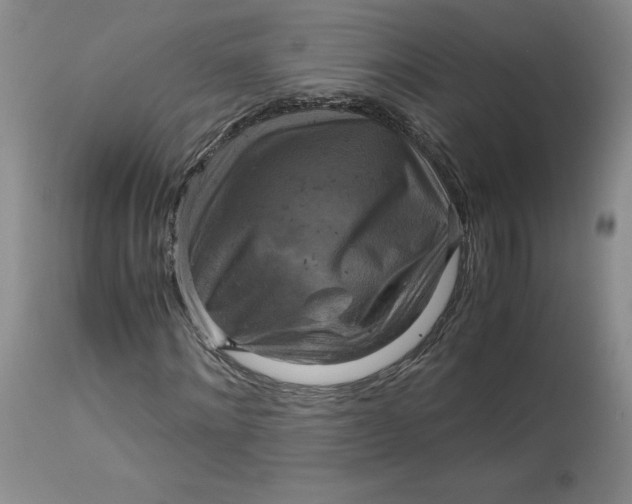 X0000113140868200909251302