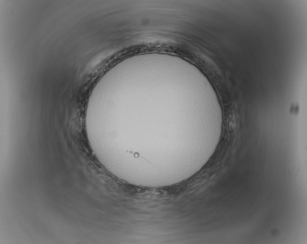 X0000113140869200909251302