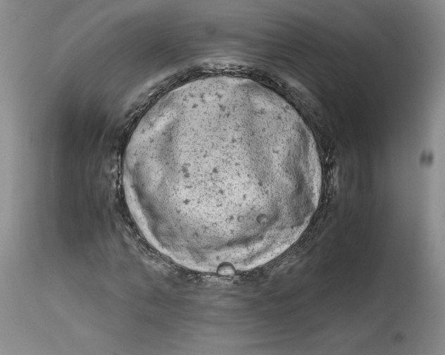 X0000113140870200909251302