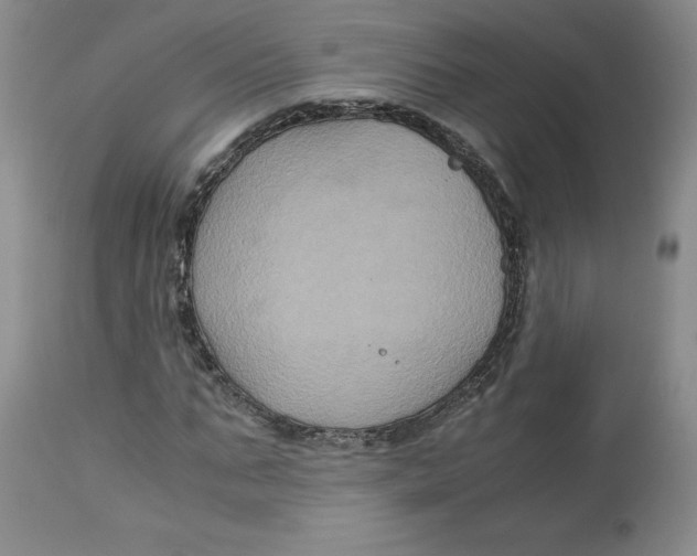 X0000113140871200909251302