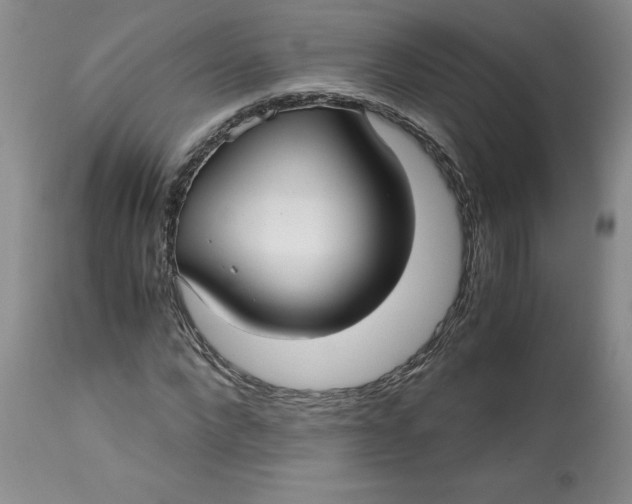 X0000113140872200909251302