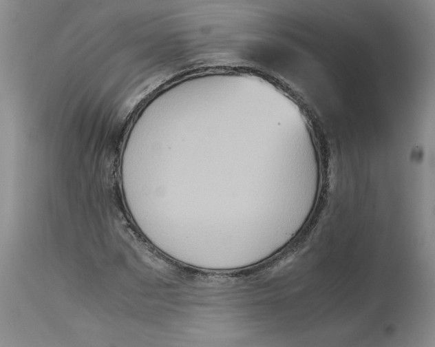 X0000113140873200909251302