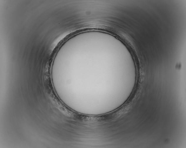 X0000113140875200909251302