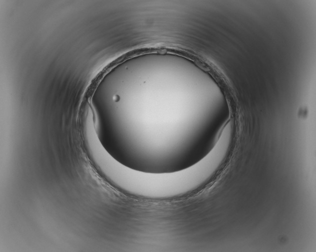 X0000113140876200909251302