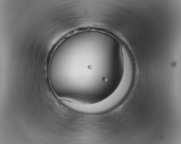 X0000113140877200909251302