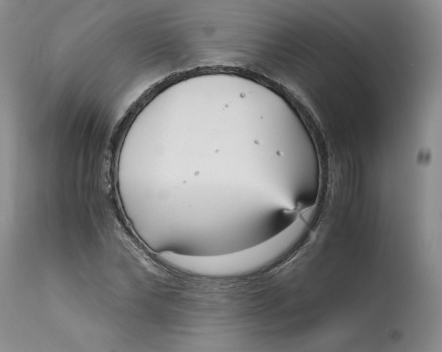 X0000113140878200909251302