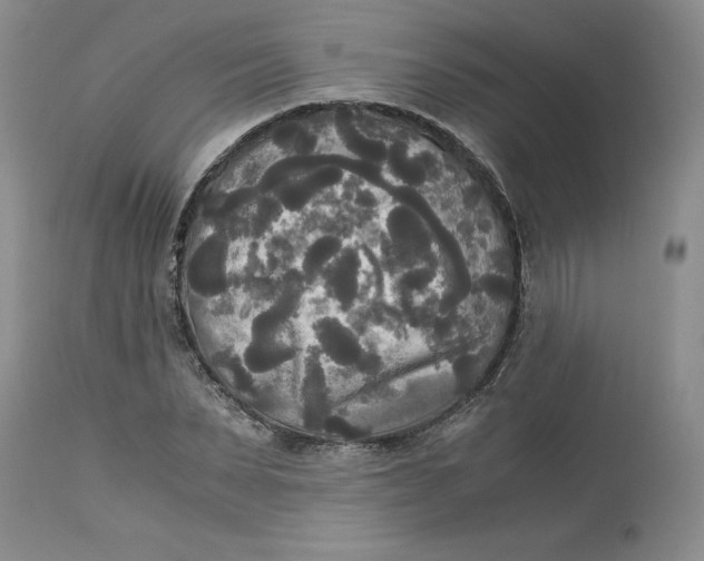 X0000113140879200909251302