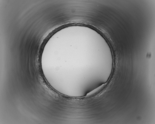 X0000113140880200909251302