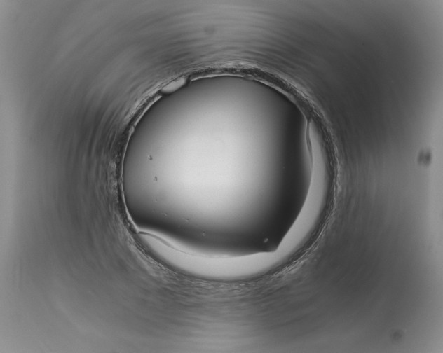 X0000113140881200909251302