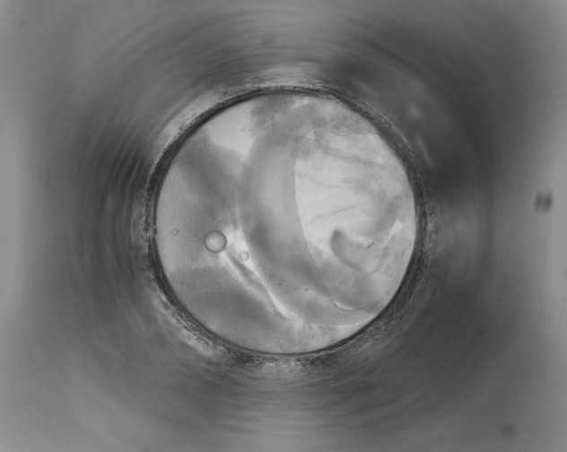 X0000113140882200909251302