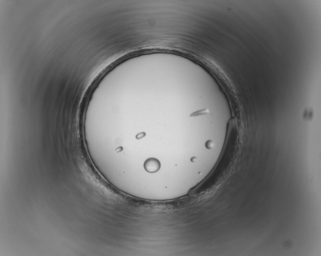 X0000113140884200909251302