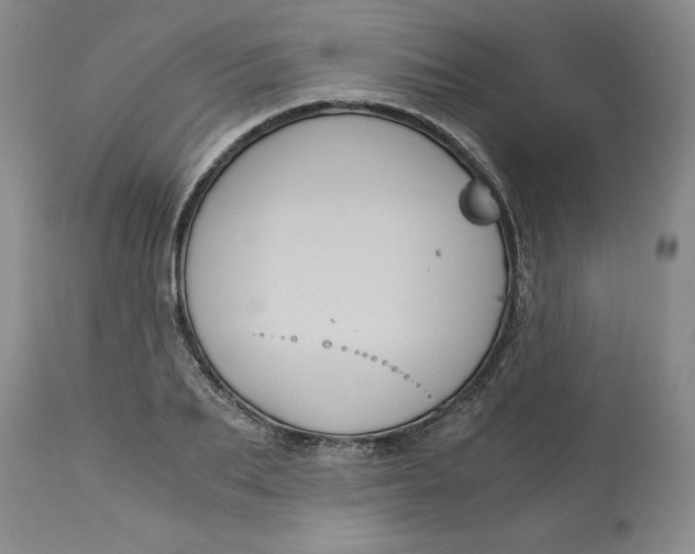 X0000113140887200909251302