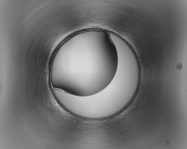 X0000113140888200909251302