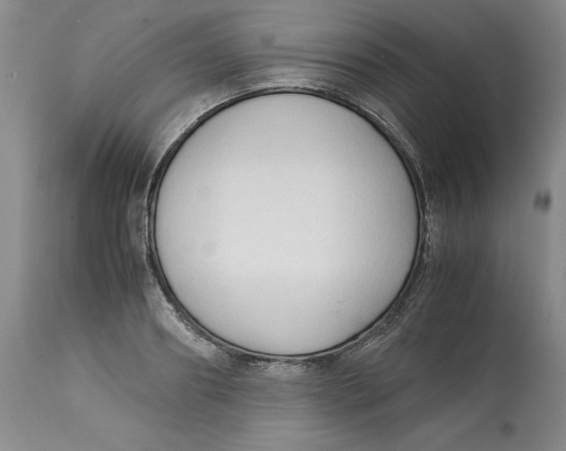 X0000113140890200909251302