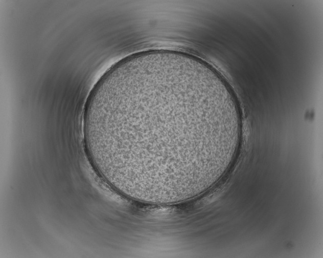 X0000113140891200909251302