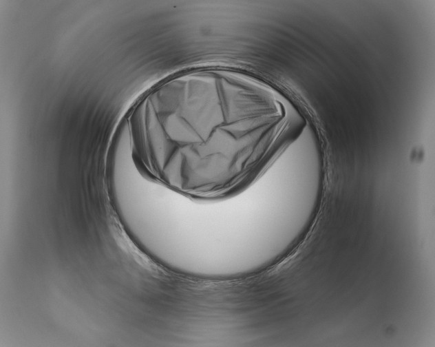 X0000113140892200909251302