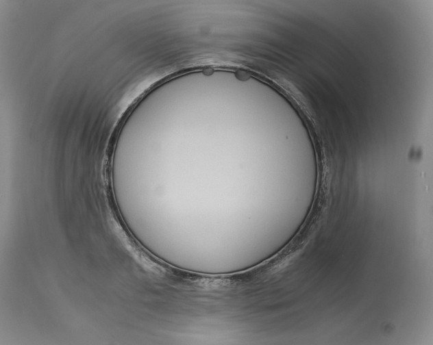 X0000113140893200909251302