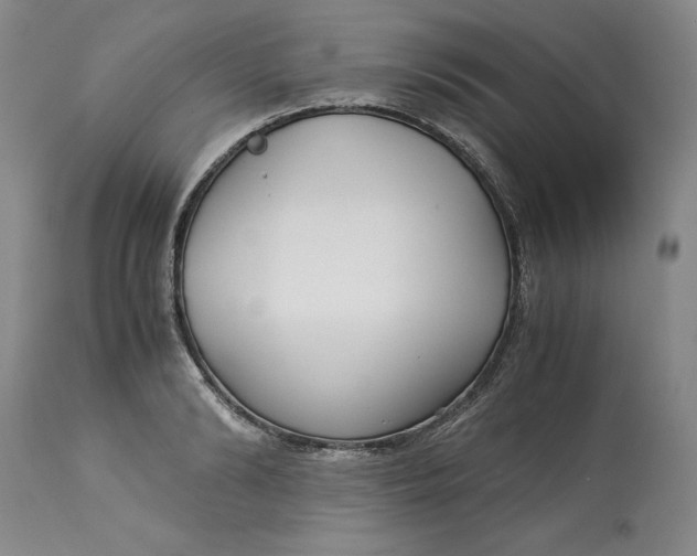 X0000113140894200909251301