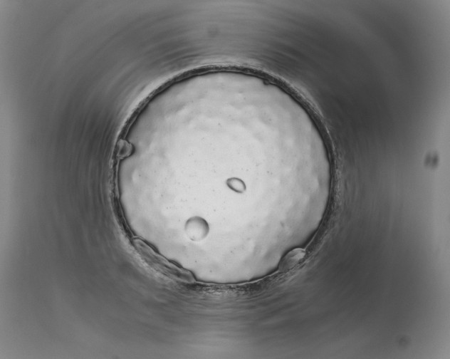 X0000113140895200909251301