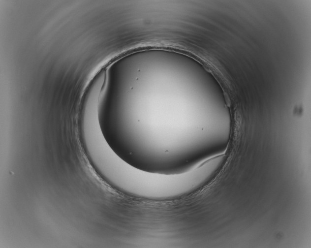 X0000113140896200909251301