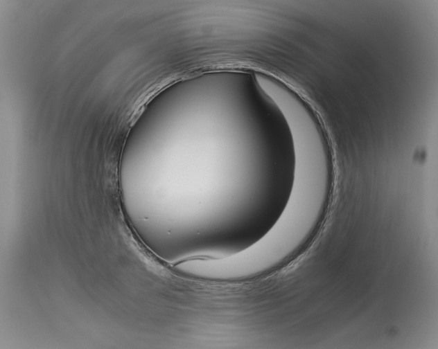 X0000113140897200909251301