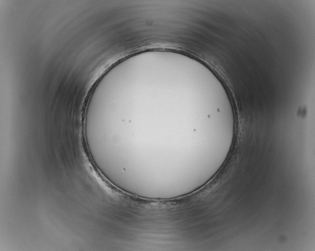 X0000113140898200909251301