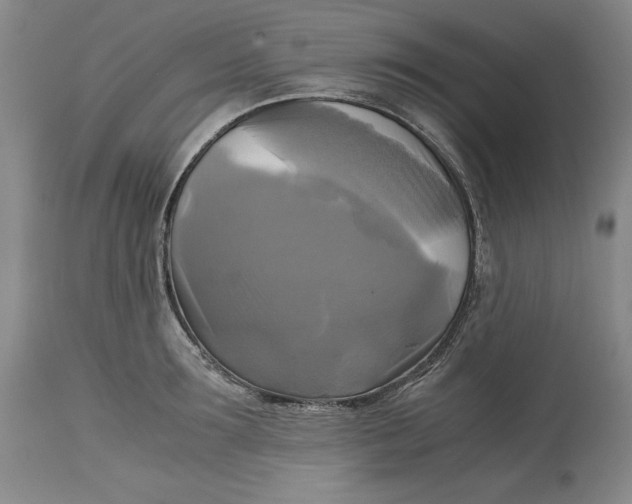 X0000113140899200909251301