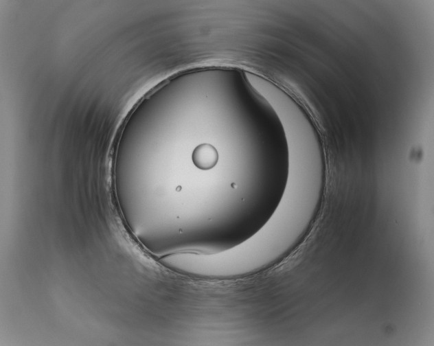 X0000113140900200909251301