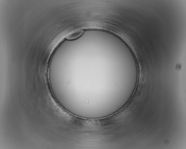 X0000113140901200909251301