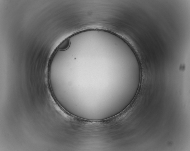 X0000113140902200909251301