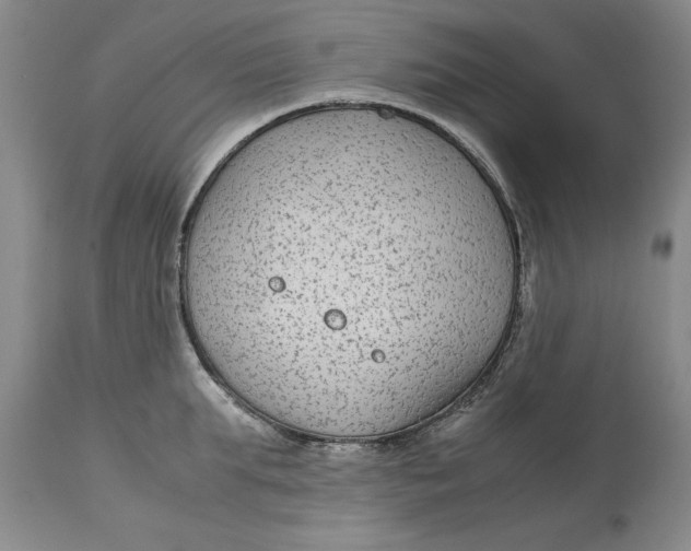 X0000113140903200909251301