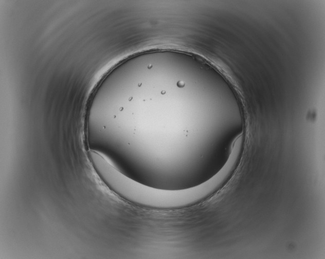 X0000113140904200909251301