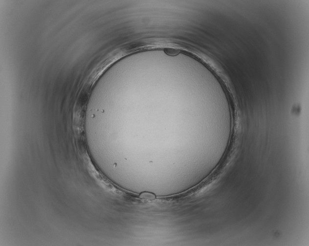 X0000113140905200909251301