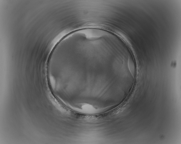 X0000113140907200909251301