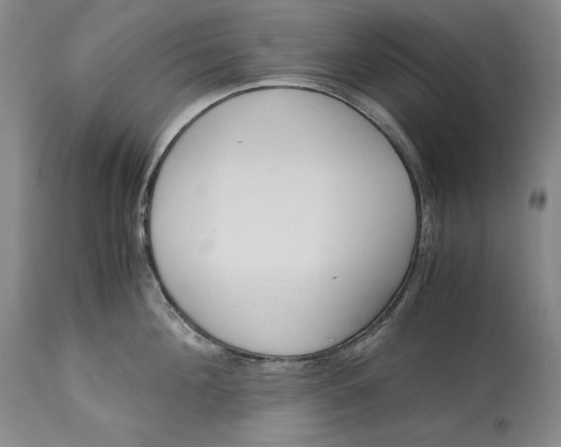 X0000113140908200909251301