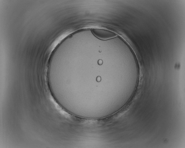 X0000113140909200909251301