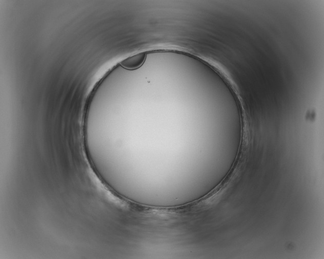 X0000113140910200909251301