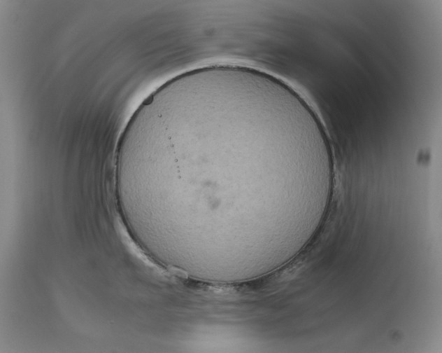 X0000113140911200909251301