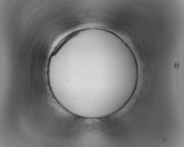 X0000113140912200909251301